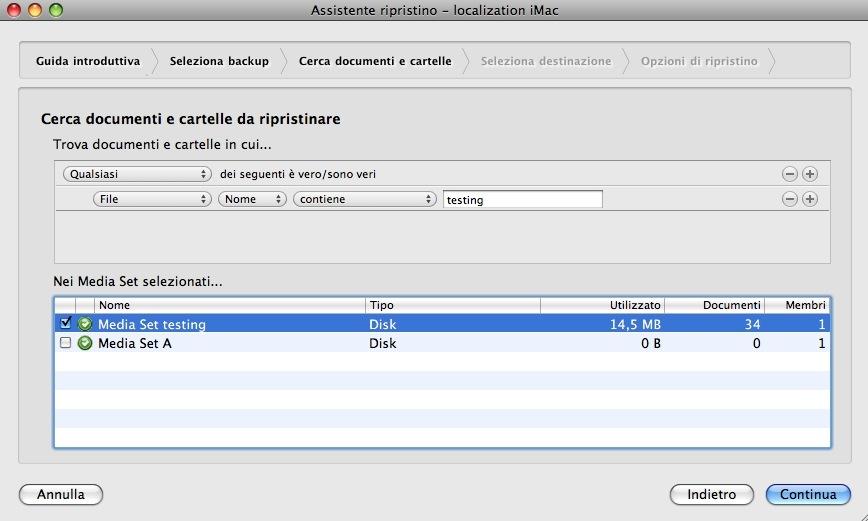Nella parte del pannello con la dicitura "Nei media set selezionati", fare clic sulla casella di controllo accanto al Media Set in cui eseguire la ricerca, quindi fare clic su Continua. 3.