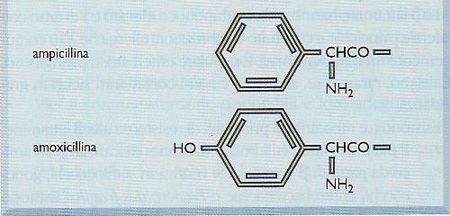 Aminopenicilline o