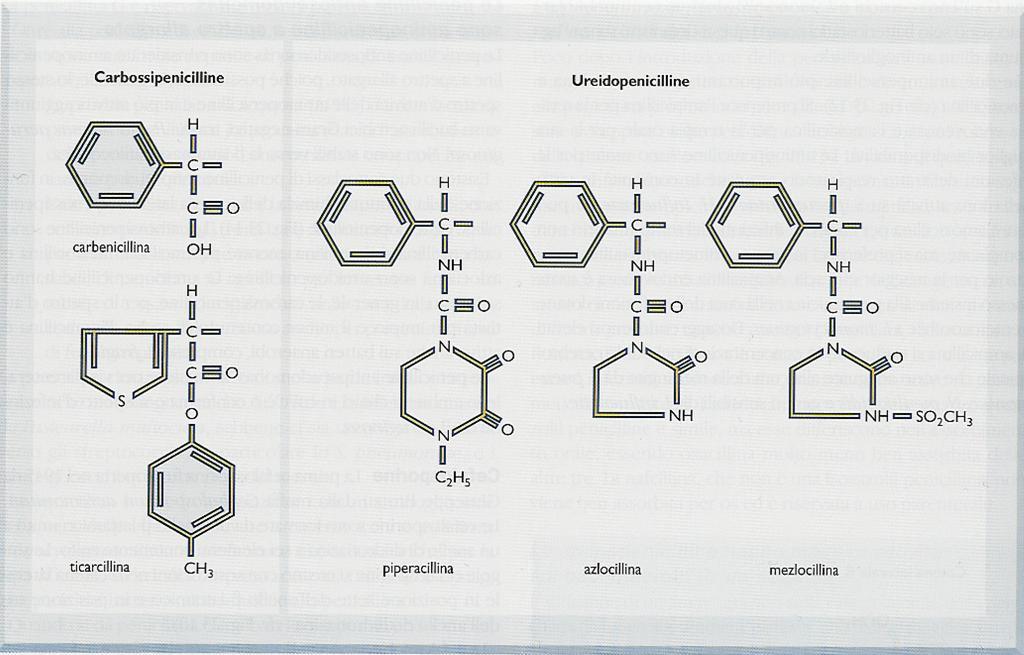 Penicilline attive su