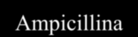 Bacampicillina Modesto (40-50%):