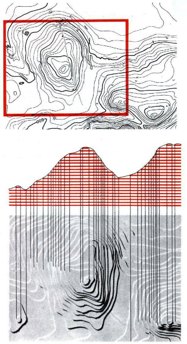 Curve di livello Sezione