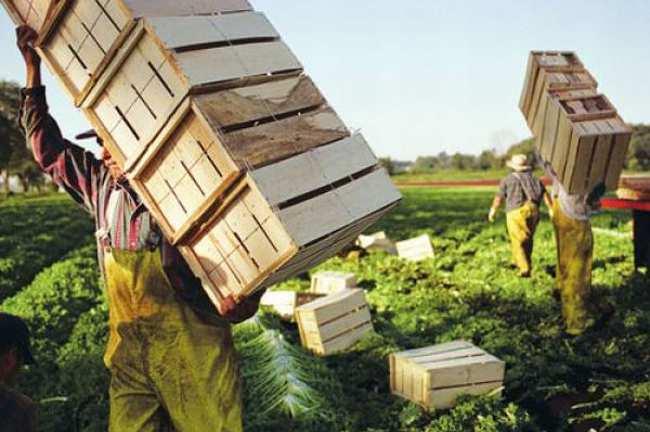 ''Fiscalità e agricoltura, le sfide in campo'', convegno di Upa Siena con... http://www.sienafree.it/economia-e-finanza/264-economia-e-finanza/8... Lunedì, 13 Giugno 2016 cerca in SienaFree.