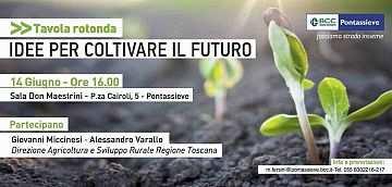 L agricoltura che vogliamo Nove da Firenze http://www.nove.firenze.it/lagricoltura-che-vogliamo.