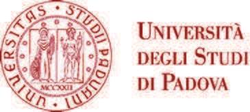 Università degli Studi di Padova Dipartimento di Scienze Economiche e Az