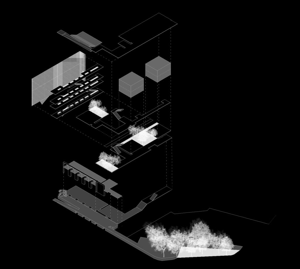 SCHEMA DELLE OPERAZIONI Nuova aula conferenze Vertical Landscape Innesto laboratori Svuotamento corte coperta Loggia su via