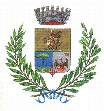 COMUNE DI TAURIANOVA (Provincia di Reggio Calabria) Regolamento per la definizione agevolata delle entrate comunali