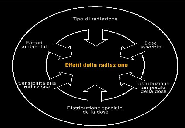 Effetti della radiazione