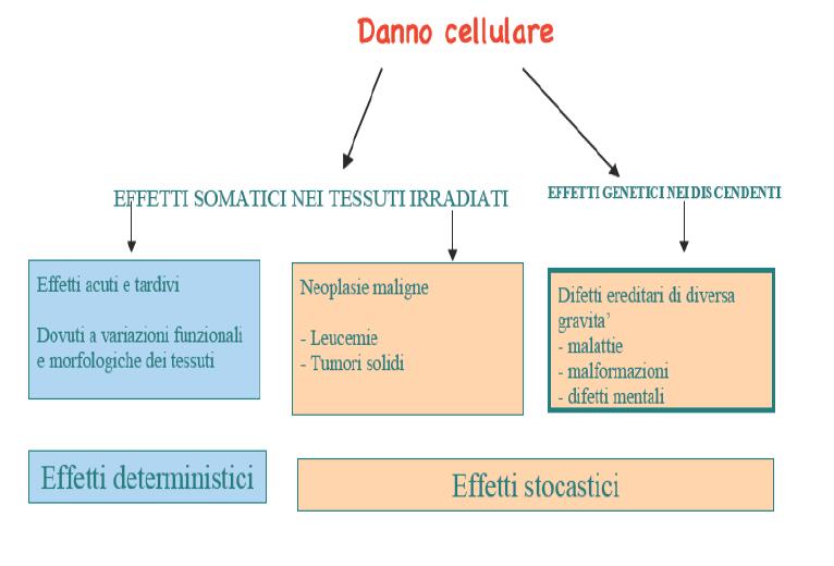 Danno cellulare