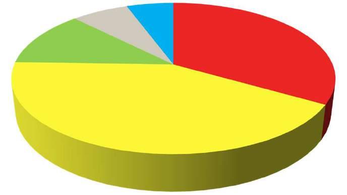 Expo: esempio di integrazione tra volontariato e staff Target e azioni di coinvolgimento 430 VOLONTARI COINVOLTI DURANTE I 6 MESI DI EXPO 26-35 ANNI 12% 36-50 ANNI 7% 19-25 ANNI 42% OVER 50 6% 15-18