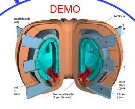 Il prototipo di reattore a fusione: DEMO L obiettivo a lungo termine del programma fusione: - Previsto l inizio della