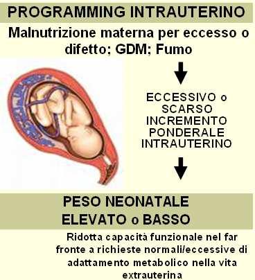 METABOLICA