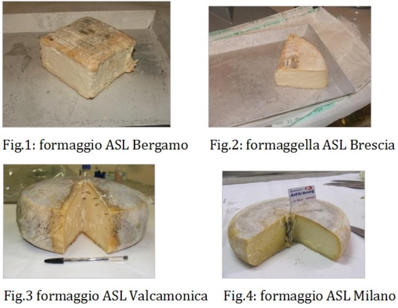 Per ogni lotto di formaggio sono stati analizzati diversi campioni e sono stati definiti dei parametri tecnologici e igienico-sanitari in grado di descrivere il comportamento dei patogeni durante il