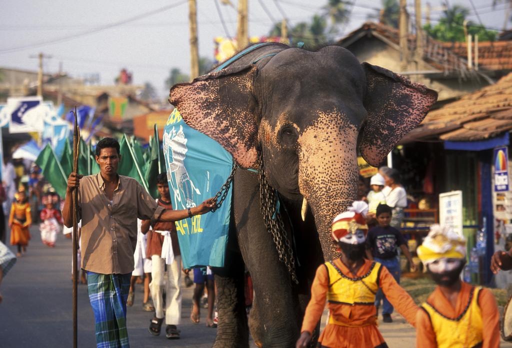 MADRE INDIA SAGGEZZA MILLENARIA, GENTE CORDIALE, INCENSI