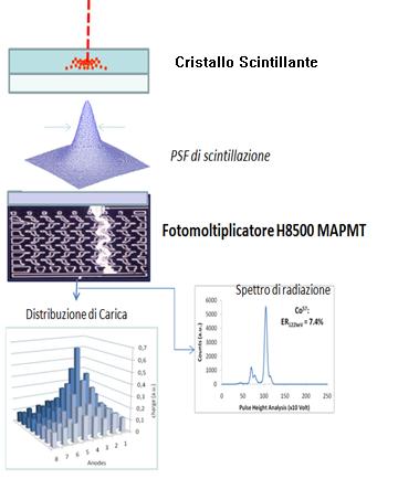 Pagina 13 1.5. PRINCIPI DI FORMAZIONE DI UN IMMAGINE Analizziamo il processo di formazione di un immagine scintigrafica.