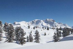 CIASPOLAT A NEL PARCO NAT URALE FANES SENES BRAIES Ciaspolata di media difficoltà sulle più maestose cime del Parco Naturale Fanes-Senes-Braies.