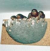 » NIDO PER RONDINE COMUNE N 10 Nido singolo a ciotola Questo nido è installato singolarmente. La rondine è una specie sociale, ma i nidi non devono essere posti troppo vicini gli uni agli altri.