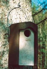 tortrici verdi delle querce o i bombici in agricoltura e selvicoltura. Possiamo offrire due cassette nido di alta qualità, con e senza protezione contro i predatori.