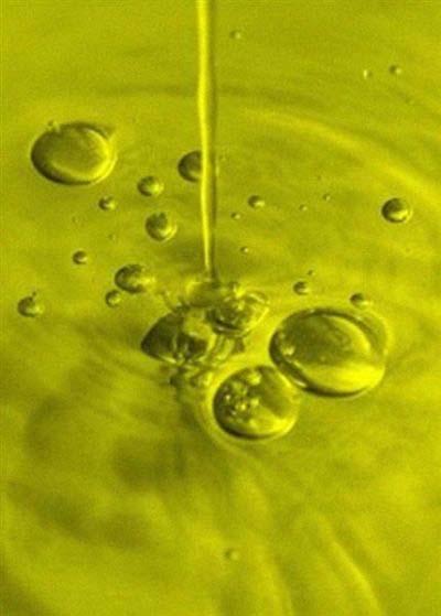 Preludio L olio extravergine è un elemento essenziale per la creazione e l esecuzione dei piatti.