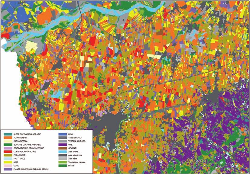 Le mappe di copertura del suolo, elaborate da ARPA Lombardia per l intero territorio regionale relativamente alle annualità 1999 e 2004, sono state realizzate mediante classificazioni di immagini