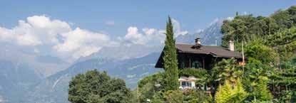 MA - 22.08. Speck, vino & olive 16.00 visita all unico vigneto sul Monte Tramontana in Val Venosta.