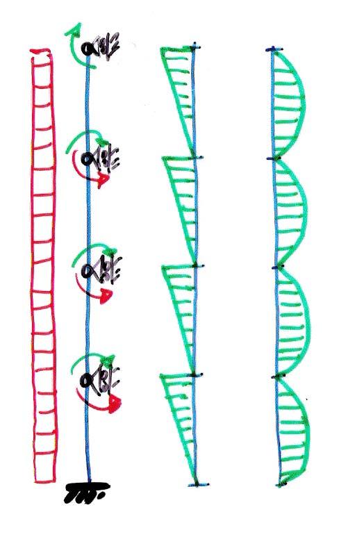 Valutazione dell eccentricità Schema strutturale semplificato di riferimento