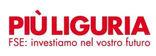 Come noto, il progetto NEETwork si è articolato secondo un susseguirsi logico/temporale di diverse fasi operative; la prima di queste fasi è stata l Aggancio nel corso della quale gli aderenti al