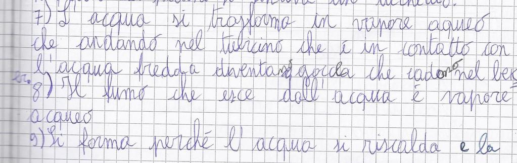 Dopo la verifica individuale il gruppo classe condivide con i compagni le personali risposte/ipotesi relative alle domande numero sette, otto e nove.