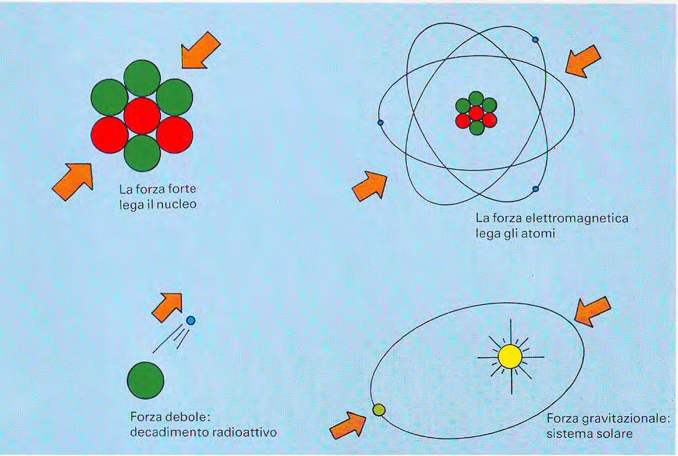Forze e particelle G. Peruzzi (Dip.