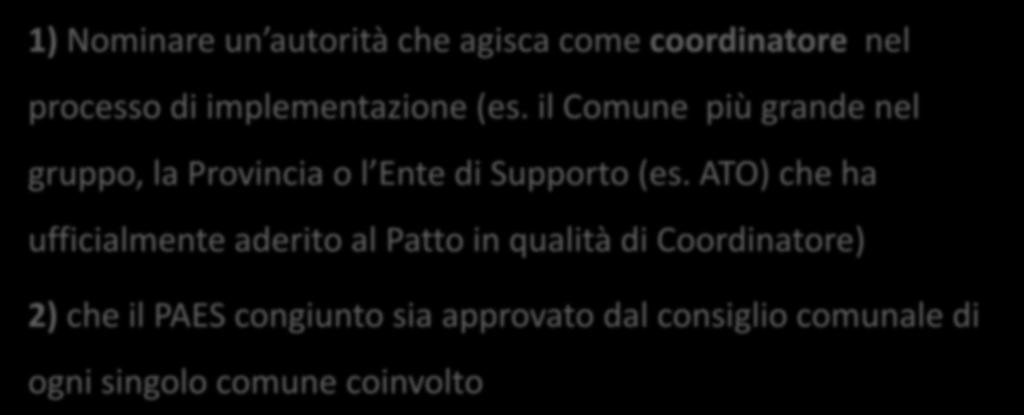 JOINT PAES: raccomandazioni In entrambi i casi è necessario: 1) Nominare un autorità che agisca come coordinatore nel processo di implementazione (es.