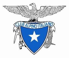 Club Alpino Italiano COMMISSIONE CENTRALE ALPINISMO GIOVANILE REGOLAMENTO DEGLI ACCOMPAGNATORI DI ALPINISMO GIOVANILE (ASAG-AAG-ANAG) Approvato dalla Commissione Centrale Alpinismo Giovanile in data