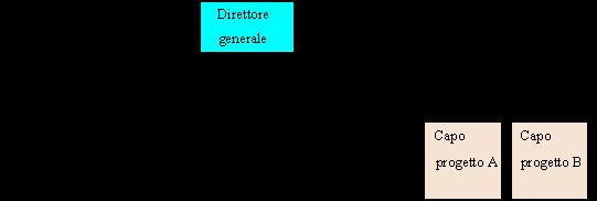 LA STRUTTURA PER PROGETTO Se un'azienda, oltre a svolgere la sua attività primaria, deve