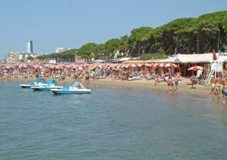 7. Allestimento delle piazzole Gli ospiti del campeggio potranno allestire le piazzole con recinzioni e teli ombreggianti alle seguenti condizione.