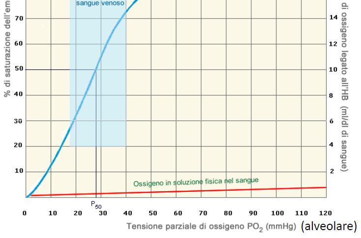 pressione parziale O 2 in aria (mm Hg) saturazione di O 2 (%ledi emoglobina