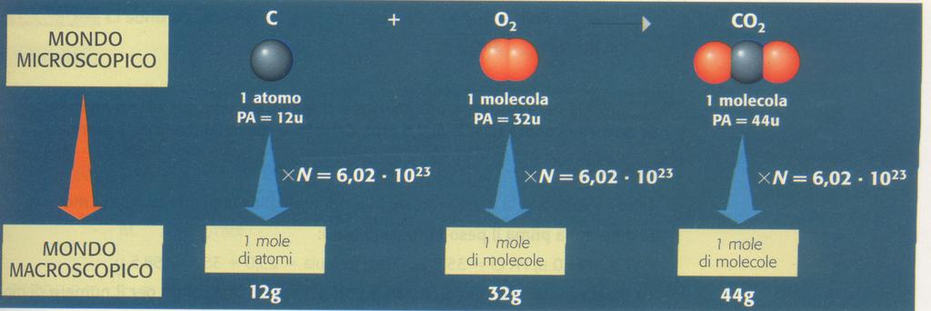la mole e la molare la mole quantità di sostanza ari alla roria relativa esressa in grammi contengono lo stesso