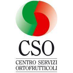 CSO ITALY È IL PUNTO D INCONTRO PRIVILEGIATO PER GLI OPERATORI DELLA FILIERA ORTOFRUTTICOLA.