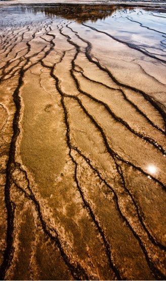 Eventuali accompagnatori saranno i benvenuti; Livello richiesto: Pur non essendo richiesto un particolare livello fotografico, l abitudine all uso e la conoscenza di una macchina fotografica reflex