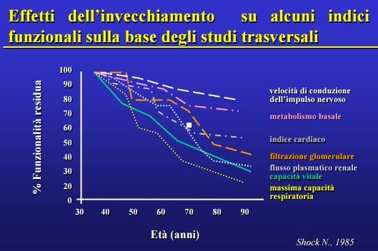 Invecchiamento fisiologico: limitazioni funzionali più o meno avanzate