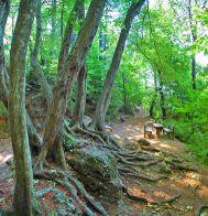 Domenica 13 ottobre Anello alto del Parco di Portofino Escursione alla scoperta degli ambienti e dei panorami mozzafiato del Promontorio di Portofino, con sosta pranzo a base di piatti tipici presso