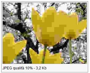 JPEG I FORMATI GRAFICI PIÙ DIFFUSI Le immagini JPG sono adatte per fotografie o immagini a toni continui. È un formato compresso a perdita di informazioni.