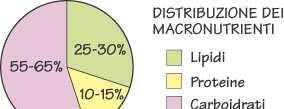 La distribuzione dei nutrienti Glucidi: 55-65% dell energia totale 3/4 amido e 1/4 glucidi semplici Protidi: 10-15% dell energia