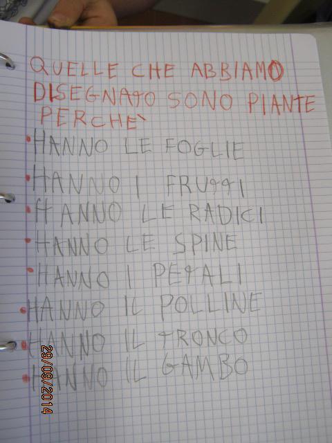 Ogni alunno, al termine dell attività ha presentato alla classe il proprio elaborato motivando la scelta della pianta disegnata.