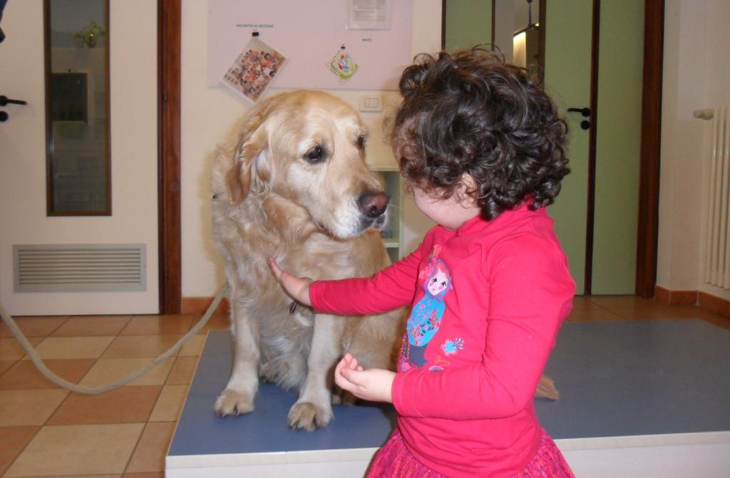 I n s e z i o n e E entrato nella sezione e si è seduto sul gradone, è un cane che va a scuola, è una scuola per i cani che insegnano a dare la zampa, ad annusare le