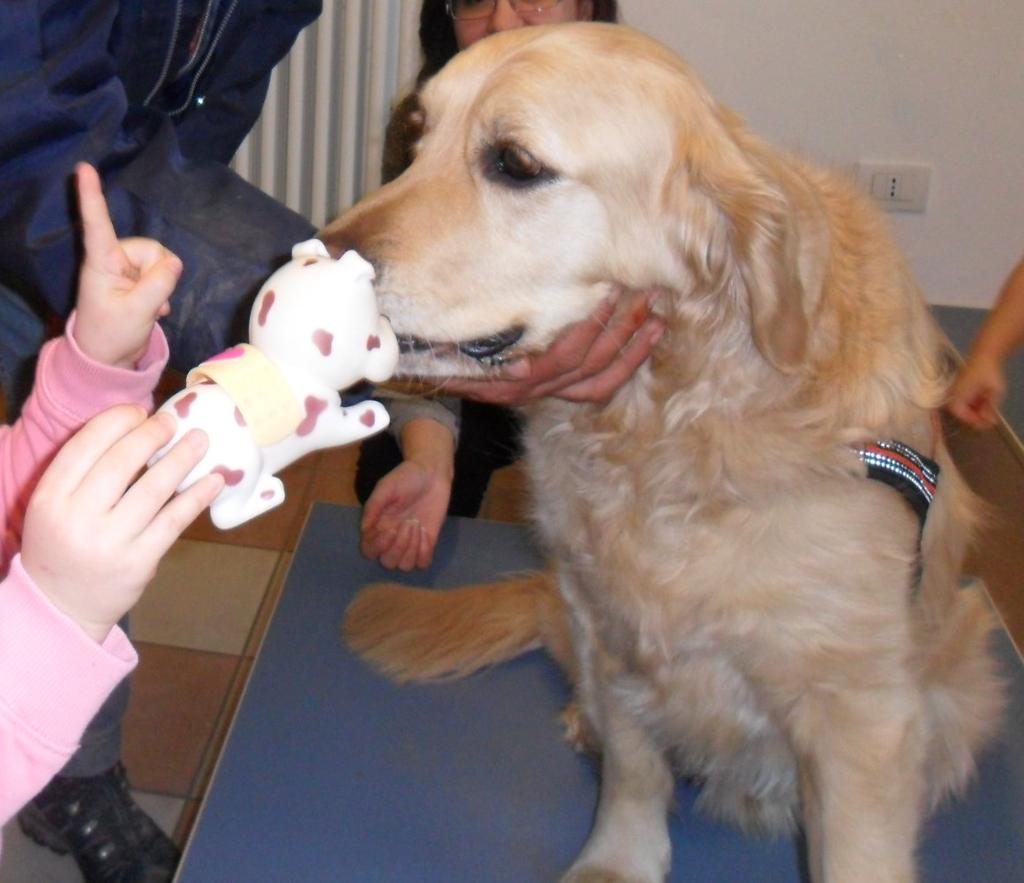 I n s e z i o n e Se noi dicevamo zampa lui ci dava la zampa. Era un cane che faceva quello che gli dicevano, era bravo perché andava a scuola Samuele Dava i bacini, leccava e faceva il solletico.