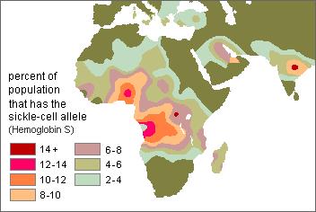 Nelle zone endemiche per la malaria