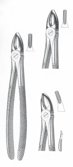 cm Molari, dx Molari, sx Radici 60045 Set di 10 portaimpronte non