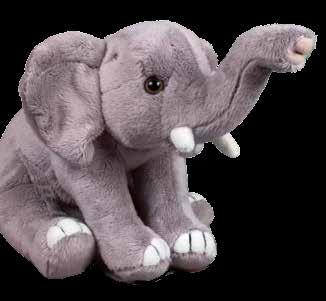 elefante