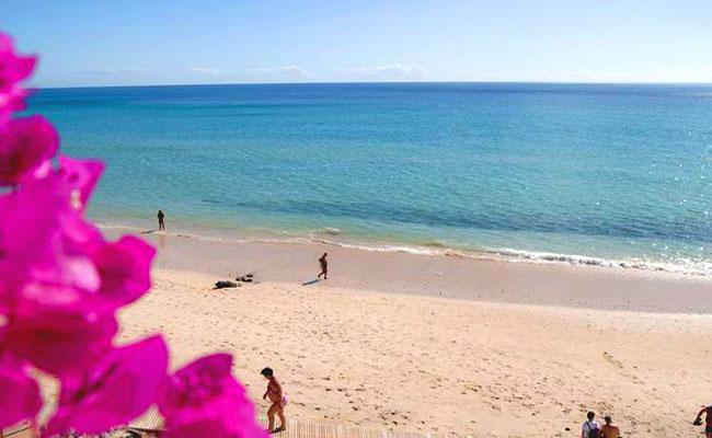 A Fuerteventura la natura è protagonista; ti aspettano spiagge incontaminate e deserte, lunghi arenili per fare quello che desideri, sdraiarti al sole, camminare sulla sabbia,