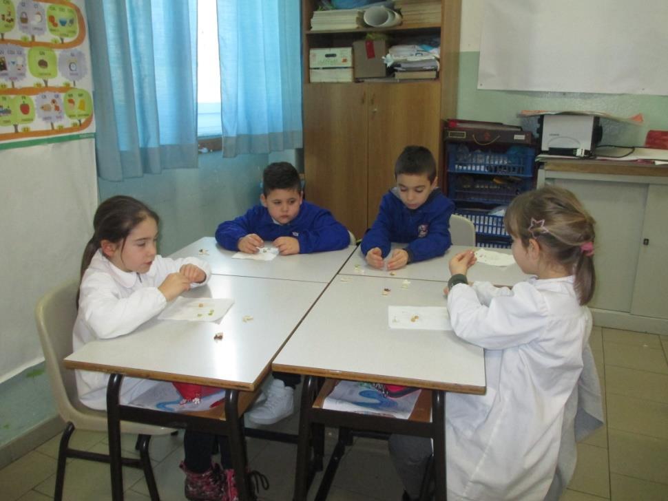 I bambini hanno avuto a disposizione alcuni tipi di seme