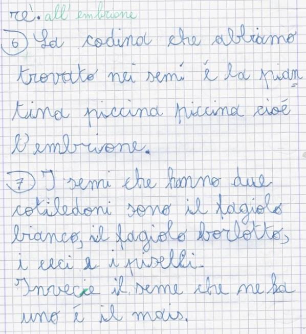 scritto, poi confrontato e rivisto le loro produzioni ed infine