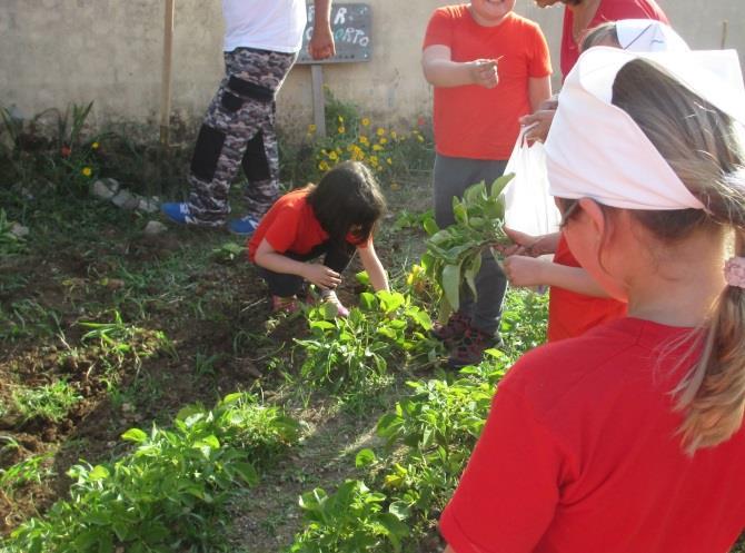 Assaggiando I bambini